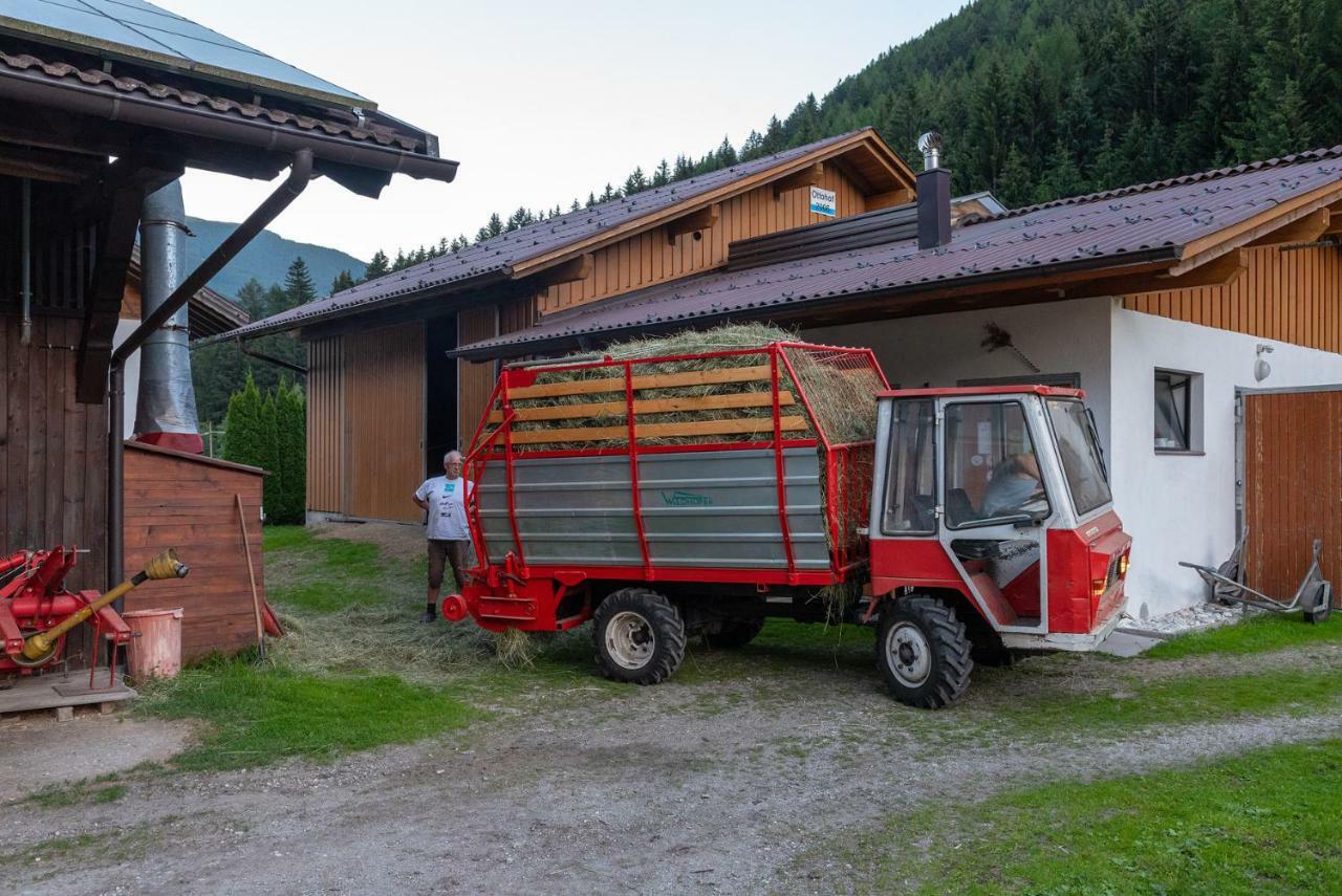 Ottohof - Feldblick Lägenhet Gossensass Exteriör bild